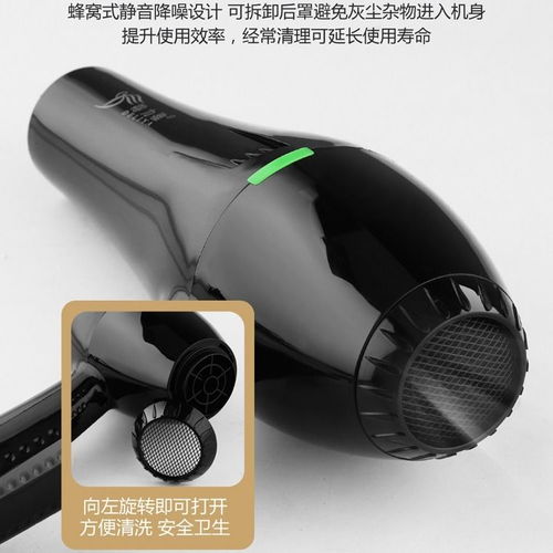 電吹風(fēng)選購(gòu)指南 從耐用靜音到專(zhuān)業(yè)藍(lán)光，打造完美吹發(fā)體驗(yàn)